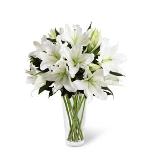 White Lilium Vase