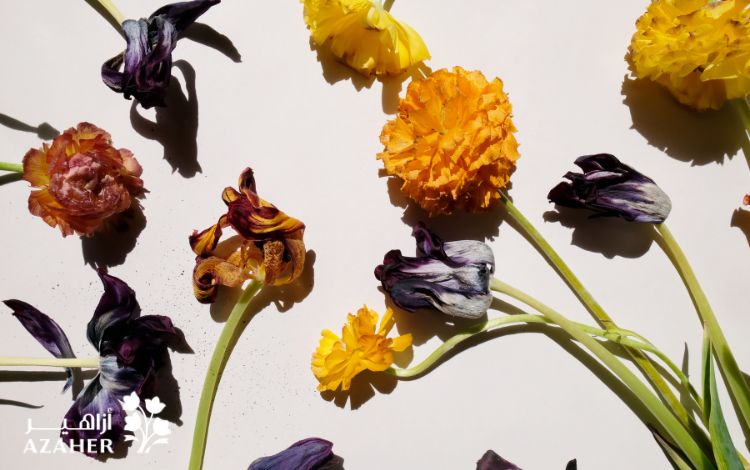 how to dry a bouquet of flowers