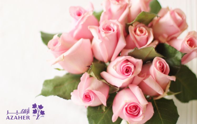 what do pink roses mean in different occasions