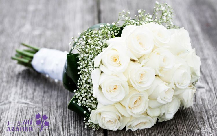 white rose flower meaning
