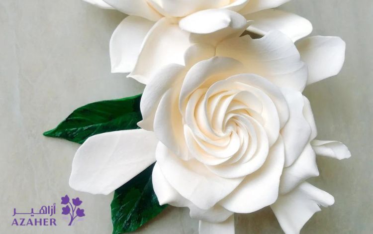 What is the white rose flower meaning?
