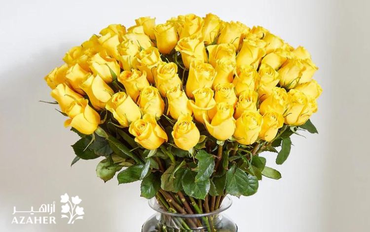 what do yellow roses mean