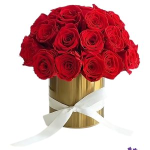 صندوق الأناقة الذهبي